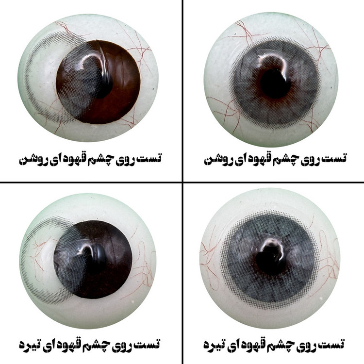لنز چشم هرا مدل 23 سالانه کد ACTA230 رنگ طوسی دوردار